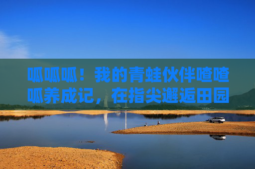 呱呱呱！我的青蛙伙伴喳喳呱养成记，在指尖邂逅田园小确幸