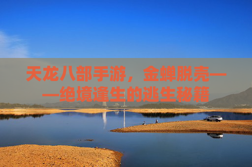 天龙八部手游，金蝉脱壳——绝境逢生的逃生秘籍