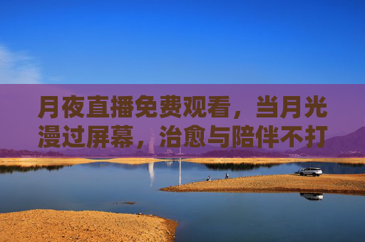 月夜直播免费观看,当月光漫过屏幕,治愈与陪伴不打烊 月夜直播免费观看,当月光漫过屏幕,治愈与陪伴不打烊