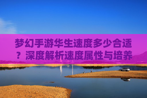 梦幻手游华生速度多少合适？深度解析速度属性与培养策略