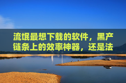 流氓最想下载的软件,黑产链条上的效率神器,还是法律边缘的绞索? 流氓最想下载的软件,黑产链条上的效率神器,还是法律边缘的绞索?