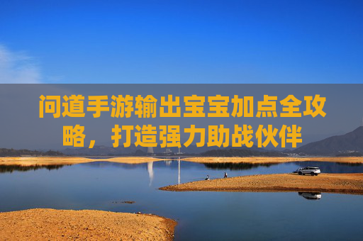 问道手游输出宝宝加点全攻略，打造强力助战伙伴