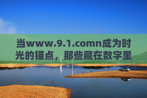当www.9.1.comn成为时光的锚点,那些藏在数字里的共同记忆 当www.9.1.comn成为时光的锚点,那些藏在数字里的共同记忆