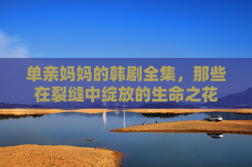 单亲妈妈的韩剧全集,那些在裂缝中绽放的生命之花 单亲妈妈的韩剧全集,那些在裂缝中绽放的生命之花