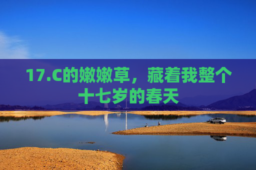 17.C的嫩嫩草,藏着我整个十七岁的春天 17.C的嫩嫩草,藏着我整个十七岁的春天