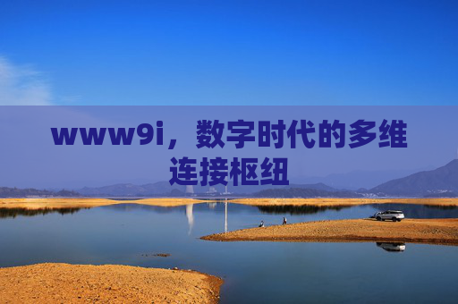 www9i,数字时代的多维连接枢纽 www9i,数字时代的多维连接枢纽