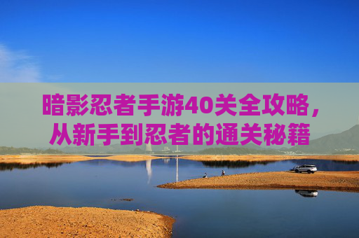 暗影忍者手游40关全攻略,从新手到忍者的通关秘籍 暗影忍者手游40关全攻略,从新手到忍者的通关秘籍