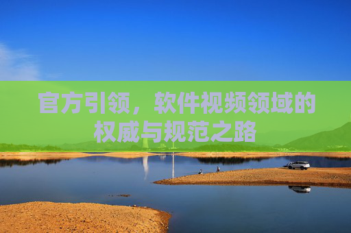 官方引领，软件视频领域的权威与规范之路