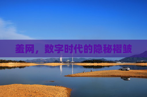羞网,数字时代的隐秘褶皱 羞网,数字时代的隐秘褶皱