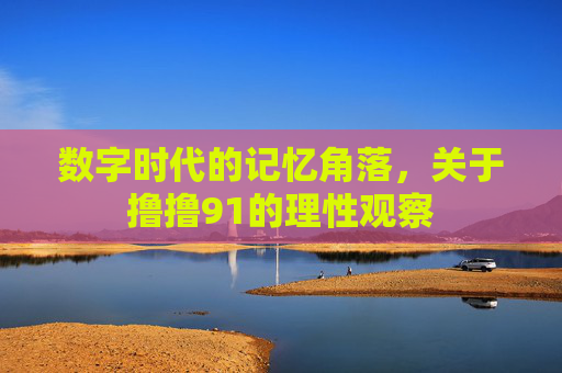 数字时代的记忆角落,关于撸撸91的理性观察 数字时代的记忆角落,关于撸撸91的理性观察