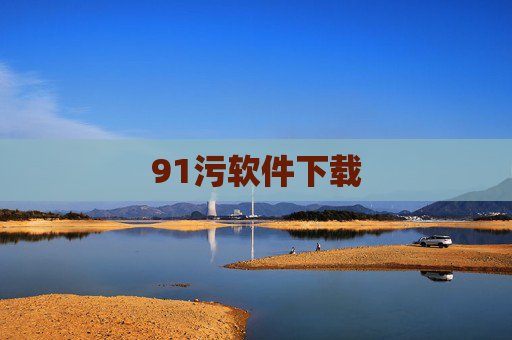 91污软件下载