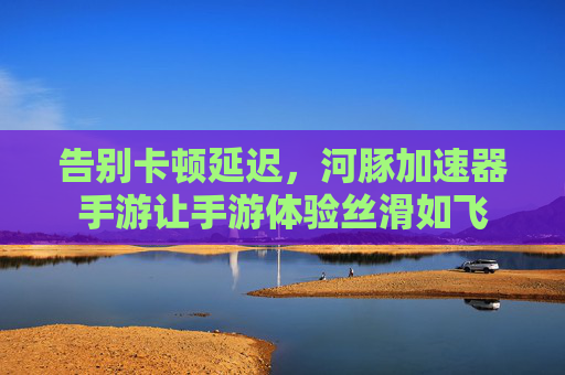 告别卡顿延迟，河豚加速器手游让手游体验丝滑如飞