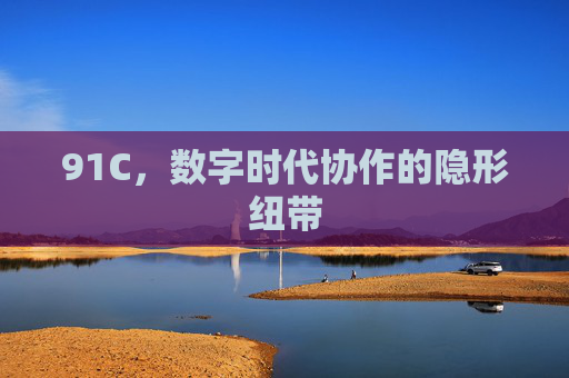 91C，数字时代协作的隐形纽带