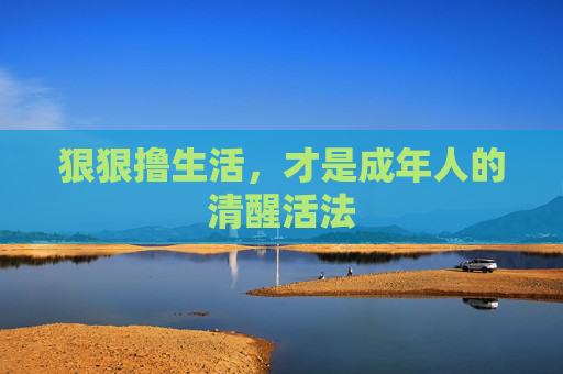 狠狠撸生活,才是成年人的清醒活法 狠狠撸生活,才是成年人的清醒活法