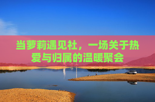 当萝莉遇见社,一场关于热爱与归属的温暖聚会 当萝莉遇见社,一场关于热爱与归属的温暖聚会