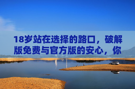 18岁站在选择的路口,破解版免费与官方版的安心,你选对了吗? 18岁站在选择的路口,破解版免费与官方版的安心,你选对了吗?