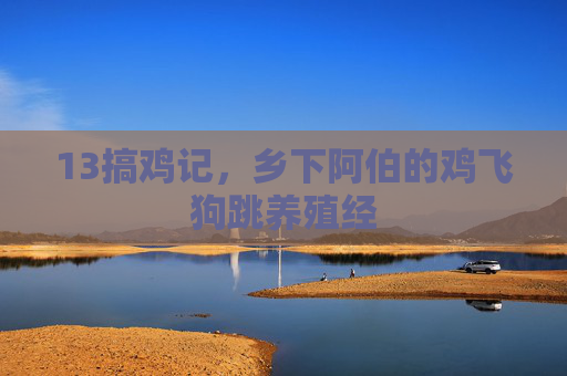 13搞鸡记,乡下阿伯的鸡飞狗跳养殖经 13搞鸡记,乡下阿伯的鸡飞狗跳养殖经