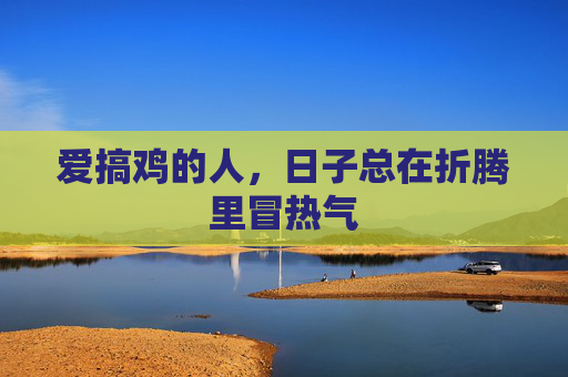 爱搞鸡的人,日子总在折腾里冒热气 爱搞鸡的人,日子总在折腾里冒热气