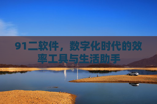91二软件,数字化时代的效率工具与生活助手 91二软件,数字化时代的效率工具与生活助手