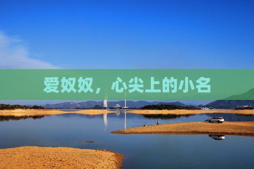 爱奴奴，心尖上的小名