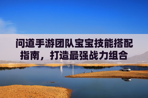 问道手游团队宝宝技能搭配指南，打造最强战力组合