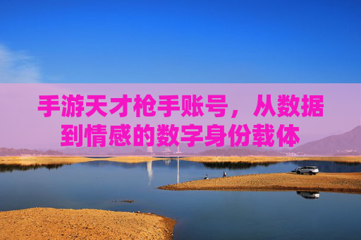 手游天才枪手账号，从数据到情感的数字身份载体