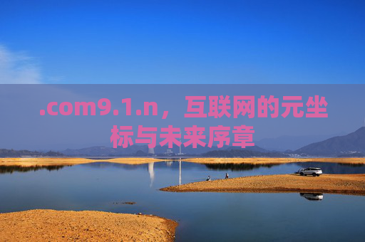 .com9.1.n，互联网的元坐标与未来序章