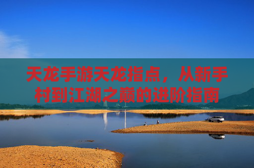 天龙手游天龙指点，从新手村到江湖之巅的进阶指南