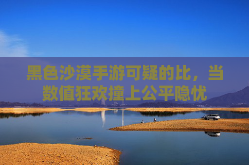 黑色沙漠手游可疑的比，当数值狂欢撞上公平隐忧