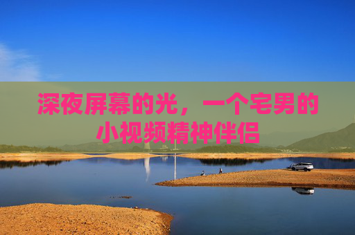 深夜屏幕的光，一个宅男的小视频精神伴侣