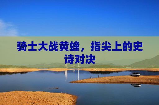 骑士大战黄蜂，指尖上的史诗对决