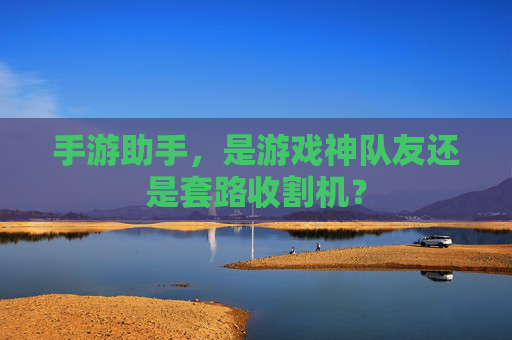 手游助手，是游戏神队友还是套路收割机？