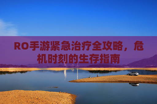 RO手游紧急治疗全攻略,危机时刻的生存指南 RO手游紧急治疗全攻略,危机时刻的生存指南