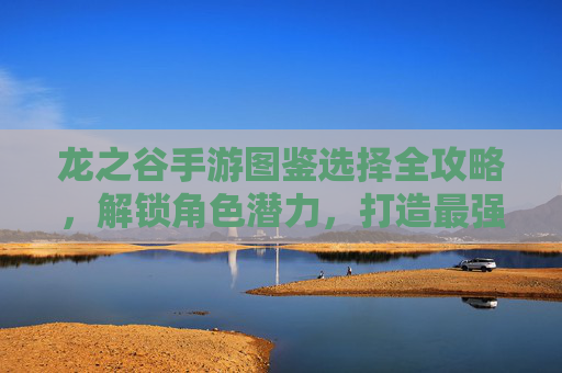 龙之谷手游图鉴选择全攻略，解锁角色潜力，打造最强阵容