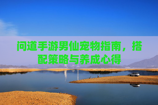 问道手游男仙宠物指南,搭配策略与养成心得 问道手游男仙宠物指南,搭配策略与养成心得