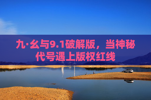 九·幺与9.1破解版，当神秘代号遇上版权红线
