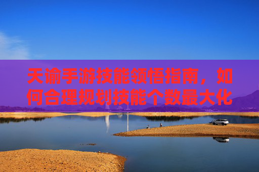 天谕手游技能领悟指南,如何合理规划技能个数最大化战力 天谕手游技能领悟指南,如何合理规划技能个数最大化战力