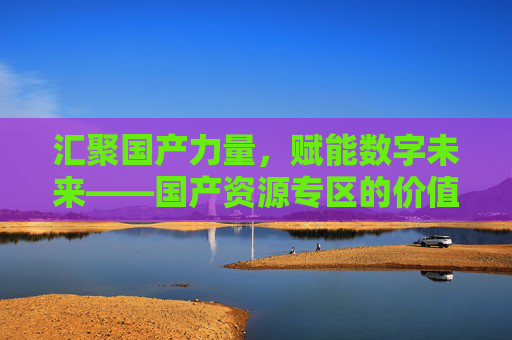 汇聚国产力量,赋能数字未来——国产资源专区的价值与展望 汇聚国产力量,赋能数字未来——国产资源专区的价值与展望