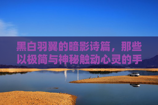 黑白羽翼的暗影诗篇,那些以极简与神秘触动心灵的手游推荐 黑白羽翼的暗影诗篇,那些以极简与神秘触动心灵的手游推荐