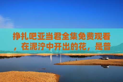 挣扎吧亚当君全集免费观看，在泥泞中开出的花，是普通人的英雄诗