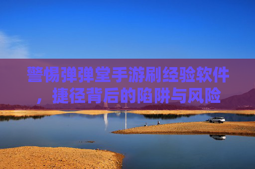 警惕弹弹堂手游刷经验软件，捷径背后的陷阱与风险