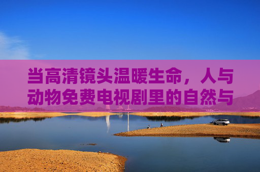 当高清镜头温暖生命,人与动物免费电视剧里的自然与温情 当高清镜头温暖生命,人与动物免费电视剧里的自然与温情
