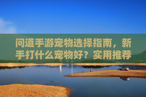 问道手游宠物选择指南,新手打什么宠物好?实用推荐与培养策略 问道手游宠物选择指南,新手打什么宠物好?实用推荐与培养策略