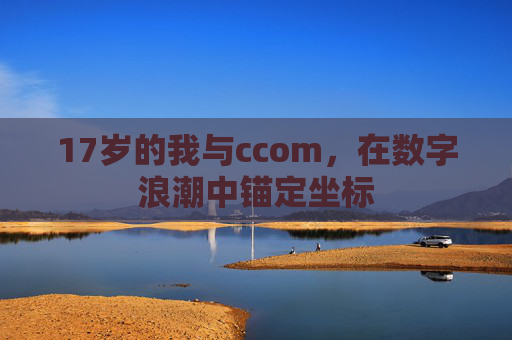 17岁的我与ccom，在数字浪潮中锚定坐标