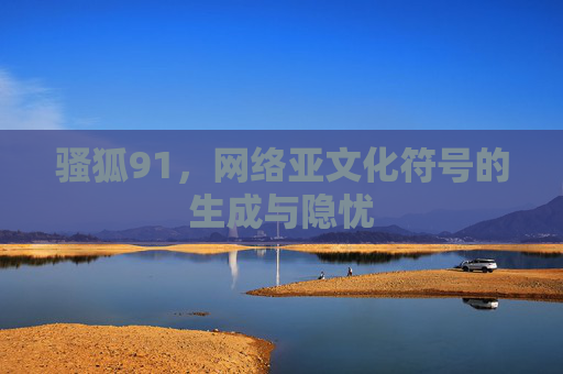 骚狐91,网络亚文化符号的生成与隐忧 骚狐91,网络亚文化符号的生成与隐忧