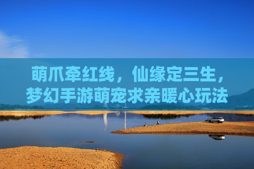 萌爪牵红线，仙缘定三生，梦幻手游萌宠求亲暖心玩法全解析