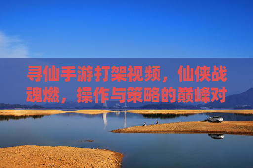 寻仙手游打架视频，仙侠战魂燃，操作与策略的巅峰对决