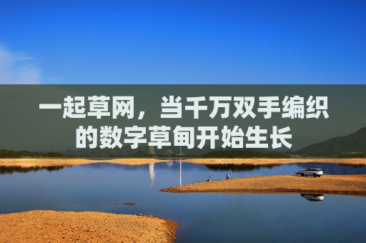 一起草网,当千万双手编织的数字草甸开始生长 一起草网,当千万双手编织的数字草甸开始生长