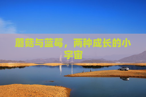 蘑菇与蓝莓,两种成长的小宇宙 蘑菇与蓝莓,两种成长的小宇宙