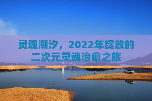 灵魂潮汐,2022年绽放的二次元灵魂治愈之旅 灵魂潮汐,2022年绽放的二次元灵魂治愈之旅